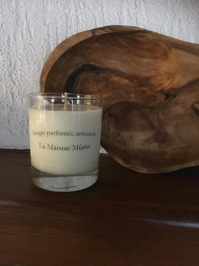 La Maison Murier Chef-Boutonne Exteriör bild